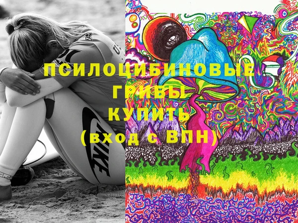 марки lsd Ельня